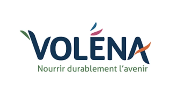 volena - client izard création