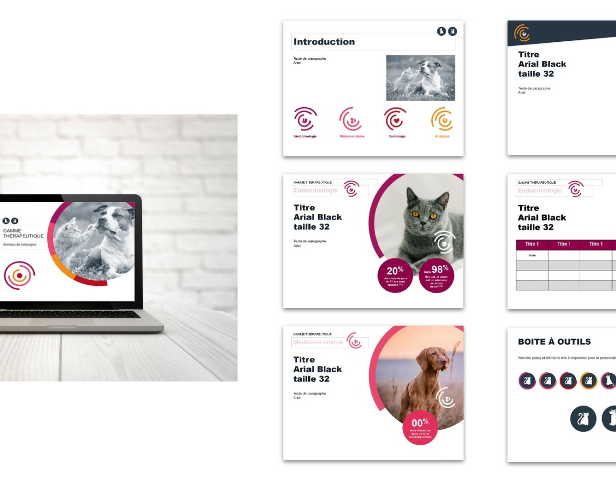 Déclinaison support print en digital par l'agence print Izard Création