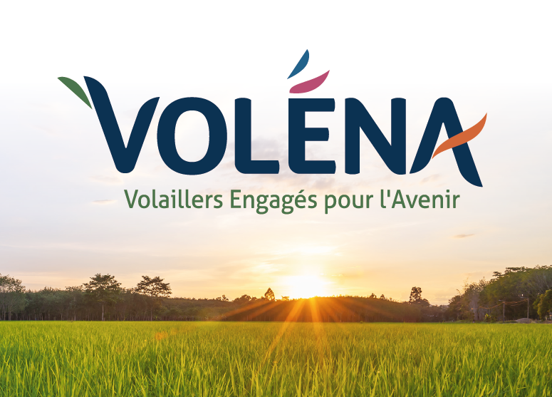 nouvelle identité visuelle pour volena